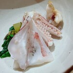 温石 - イカは耳が好き（＾◇＾）