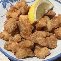 始祖鳥 - 