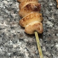 始祖鳥 - 