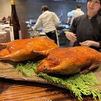 新中国料理HARAKAWA 北新地店 - 