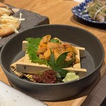 本格板前居酒屋 お魚総本家 - 生うに