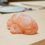 鮨 めい乃 - ボタンエビ