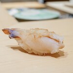 鮨 めい乃 - みる貝