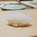 鮨 めい乃 - 白いか