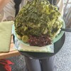 お食事処 桂 外宮 - 【伊勢茶氷】味3.6 CP3.6
おっ、美味しい。
かき氷には「濃いお茶の風味」が、、、。お茶が旨いなぁ。「伊勢茶」❗️初めて聞きますね。