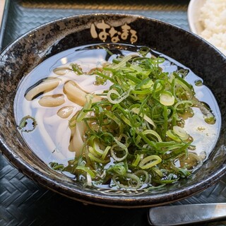 はなまるうどん_0