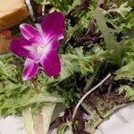 Island Vintage Wine Bar - 