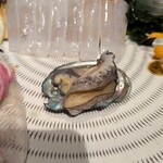 せいもん払い - 刺盛りのトコブシ