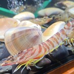 鮨 赤酢 たかやま - 