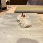 305555039 - 