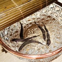 杦 - 