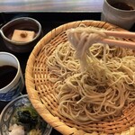 御手打ちそば やま本 - 