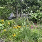 アルキペラゴ - 