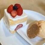 サロン ド テ エム エス アッシュ - ガトーフレーズ