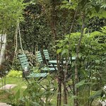 サロン ド テ エム エス アッシュ - 素敵なイングリッシュガーデン風テラス