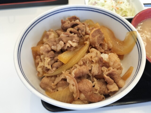 Yoshinoya Nashihojinchoten photo 2
