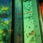 ピッツェリア ダ チーボ - 金魚アートアクアリウム