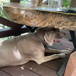 MITAKE Deck Cafe Bitte - 