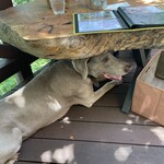 MITAKE Deck Cafe Bitte - 