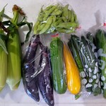 ブルーベリー農園 うざわ - 枝豆300円、とうもろこし1本150円、他は1袋100円