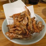 大衆食堂BEETLE - 