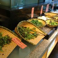 Trattoria VICINO - 