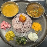 Curry Spice Gelateria KALPASI - 