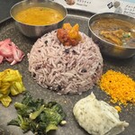 Curry Spice Gelateria KALPASI - 