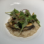 Giovanni - 鮑の贅沢リゾット