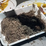 Giovanni - これなに？ってなるトリュフ