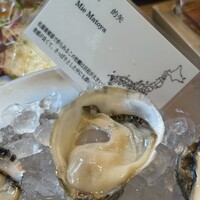 Oysterbar&Wine BELON 渋谷店 - 