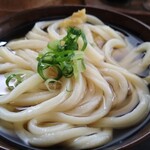 山内うどん店 - ひやあつ（大）350円