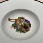 フォリオリーナ・デッラ・ポルタ・フォルトゥーナ - 