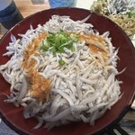 まるごと駿河湾 三島駅店 - 釜揚げしらす丼