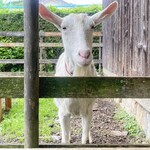 みちくさ能勢 - 