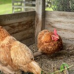 みちくさ能勢 - 