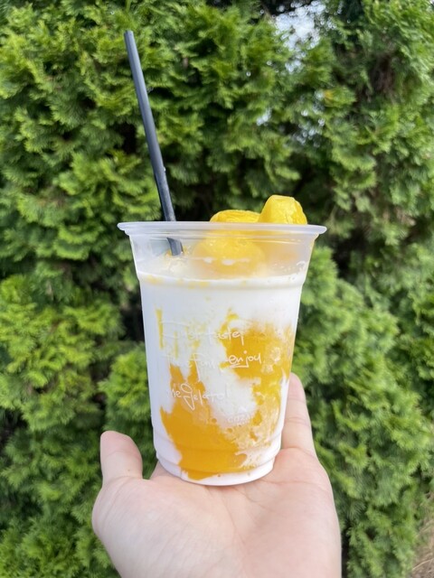 コザブ ジェラート（COZAB GELATO） - 天童南（ジェラート・アイスクリーム）の写真