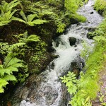 ミカドコーヒー - マイナスイオン出てます✨笑