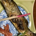 富田屋別館 - 岩魚の塩焼き