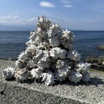 活魚料理 さかや - 