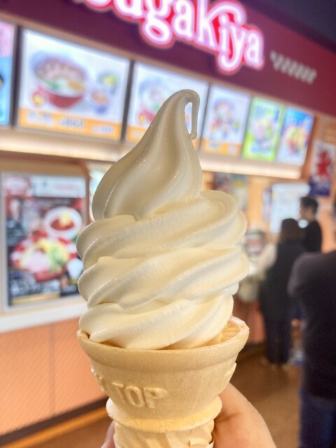 Sugakiya Super Biba Home Nagoya Minami Ten