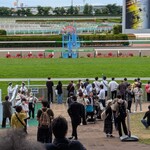 あじさい - いい席だった◎