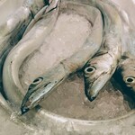 くずし割烹 小町 - 