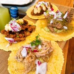 タコ ファナティコ - 