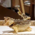 日本橋 蕎ノ字 - 