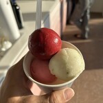 Eriko Osawa Earthly Gelato - 