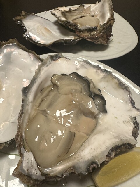 Kisetsu Ryori Ajikyu photo 2