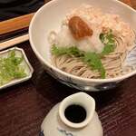 蕎麦しゃぶ総本家 浪花そば  - 