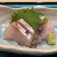 札幌 鮨 よこ田 - 