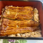 うなぎ 川松 - 鰻重